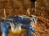 20110709-img_5049