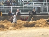 2011_1015gas-guzzy0995