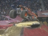 2012_0303ford_field0763