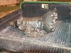 2010_0814Javkson_MI0456